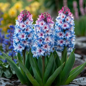 Гиацинт Пинк Мари купить по цене от 2099р. в интернет-магазине «Посадика» с доставкой почтой в в Алагире и по всей России – [изображение №1].