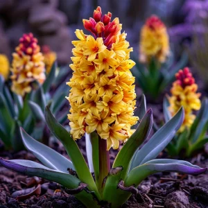 Гиацинт Миднайт Мистери купить по цене от 2099р. в интернет-магазине «Посадика» с доставкой почтой в в Алагире и по всей России – [изображение №1].