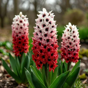 Гиацинт Скай Гарден купить по цене от 2099р. в интернет-магазине «Посадика» с доставкой почтой в в Алагире и по всей России – [изображение №1].